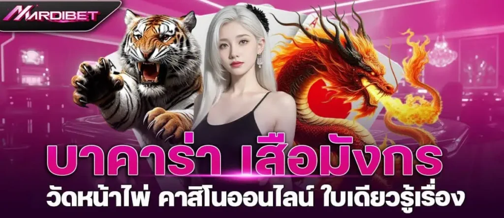 บาคาร่า เสือมังกร วัดหน้าไพ่ คาสิโนออนไลน์ ใบเดียวรู้เรื่อง MARDIBET