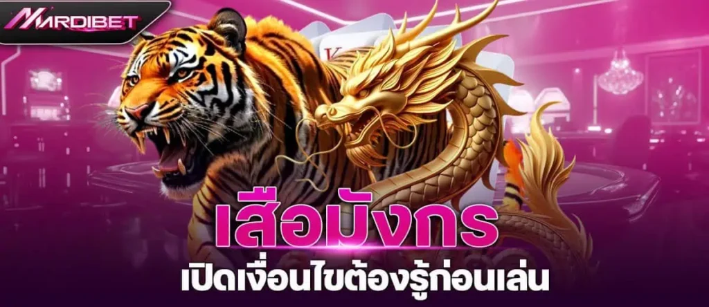 เสือมังกร เปิดเงื่อนไขต้องรู้ก่อนเล่น mardibet