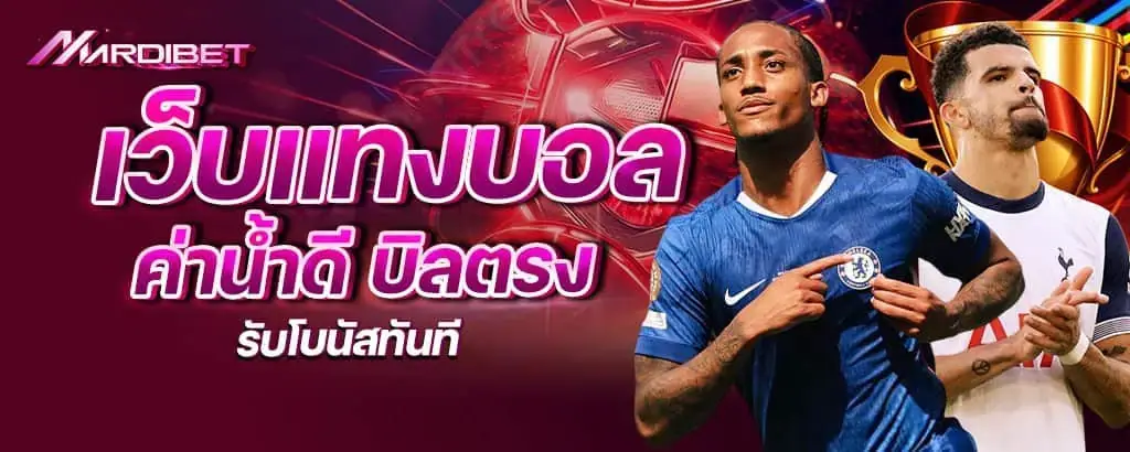 เว็บแทงบอล ค่าน้ำดี บิลตรง รับโบนัสทันที